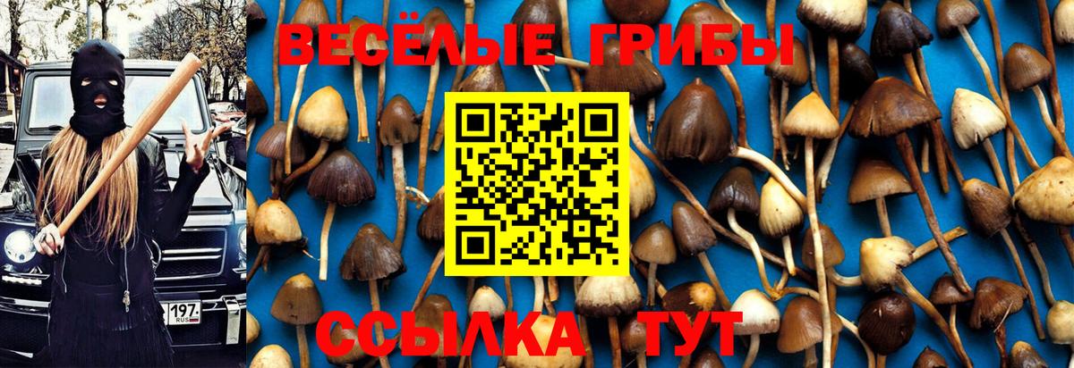 закладки  Вход с VPN  Коломна  Галлюциногенные грибы мухоморы 