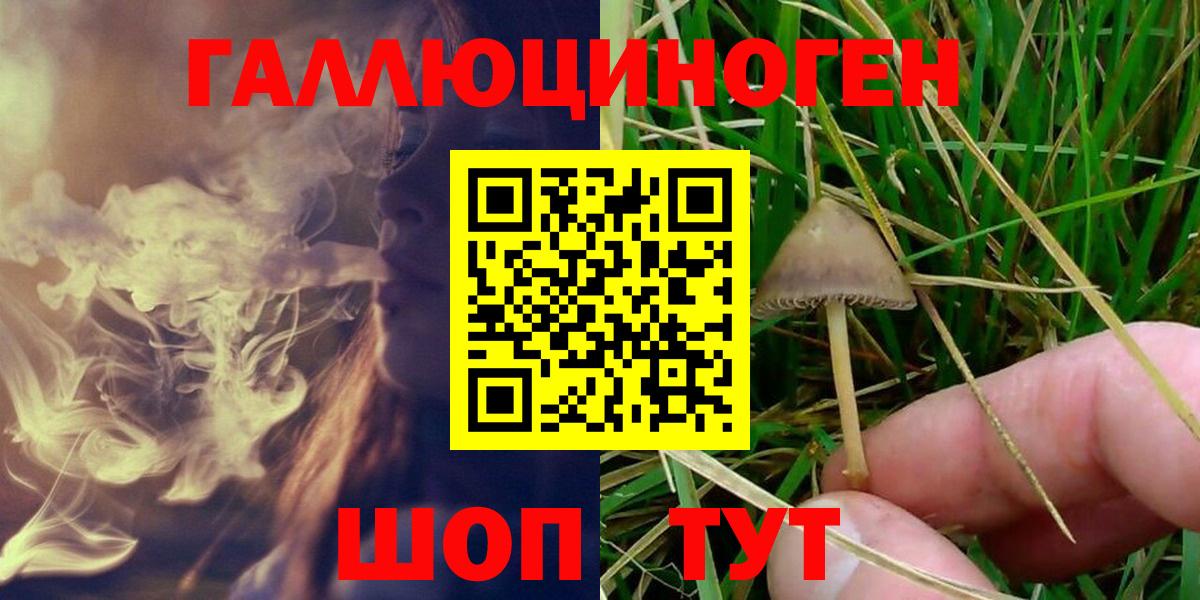 Псилоцибиновые грибы мицелий Коломна